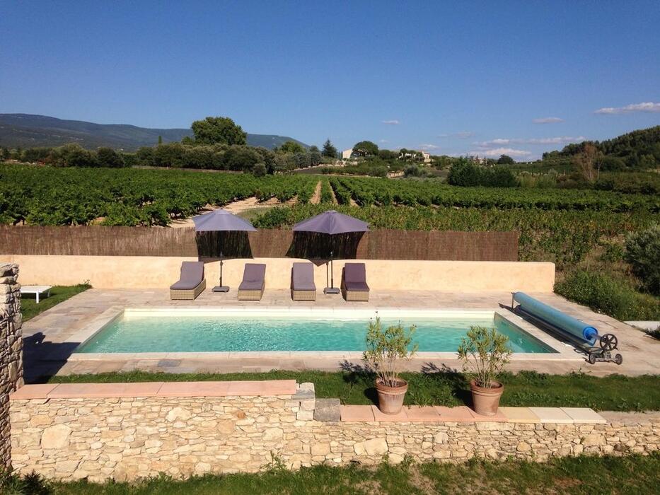 Authentic and Spacious Charming Mas in the heart of the Luberon with Private and Heated Swimming Pool - Wifi - Table tennis Table football