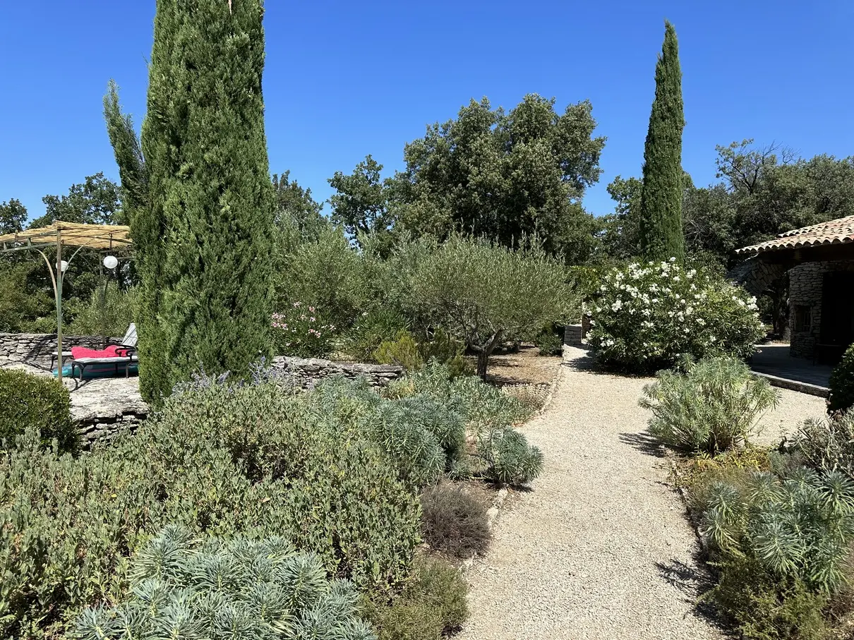 Image 15