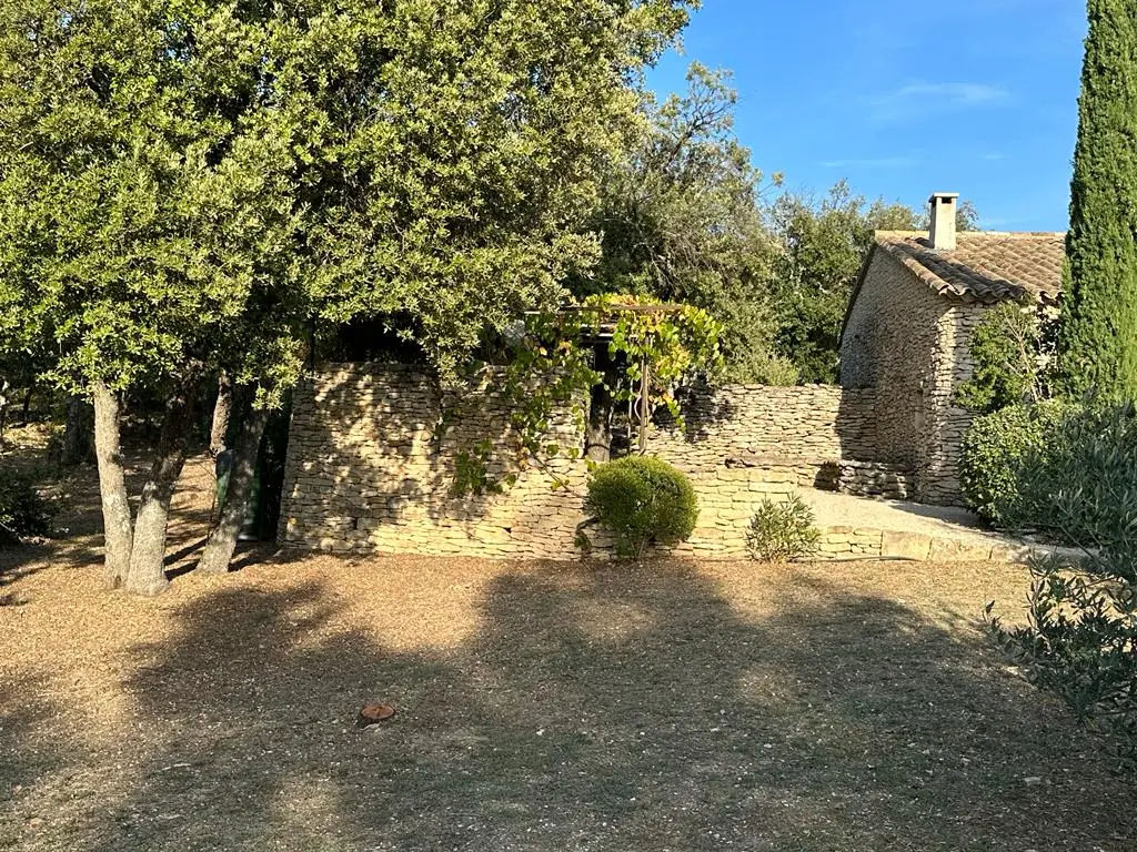 Image 19