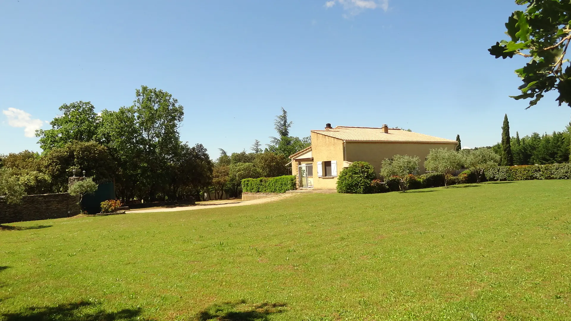 Image 8