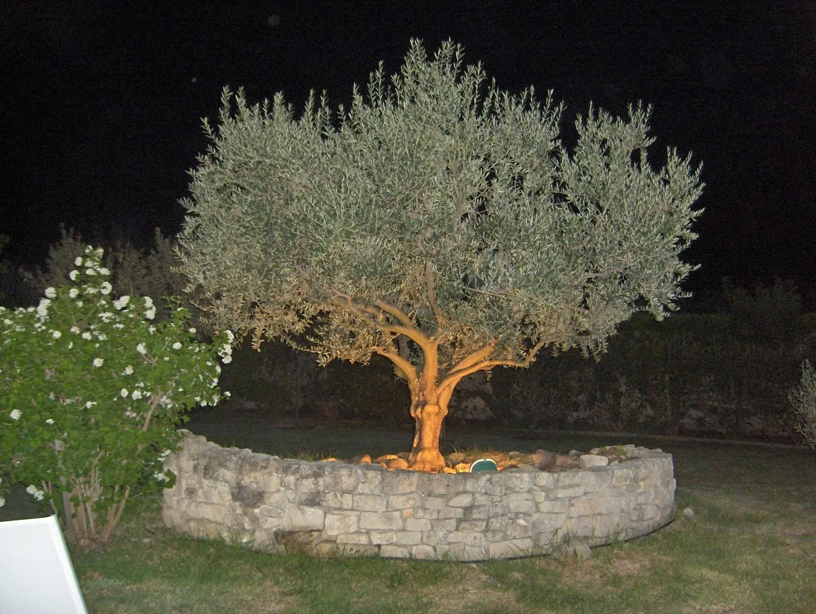 Image 31