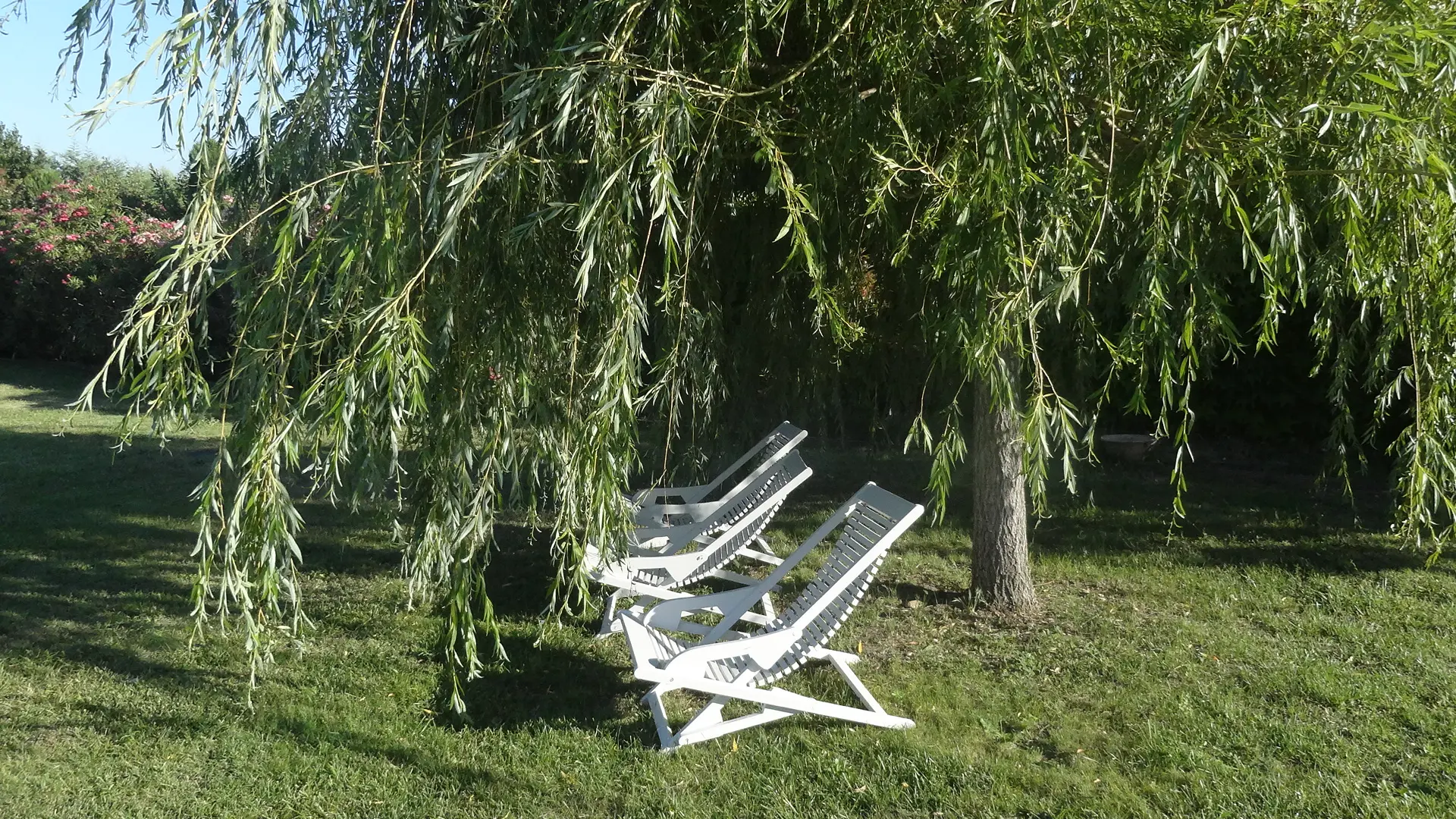 Image 30