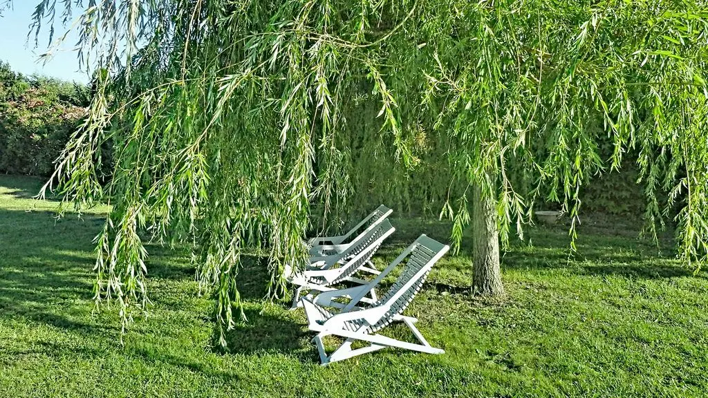 Image 17