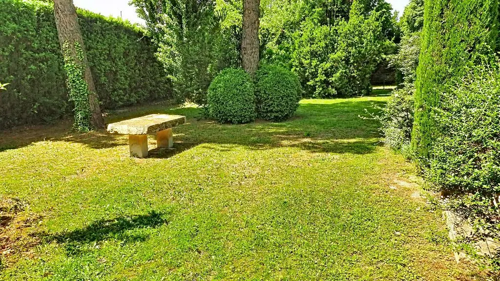 Image 12