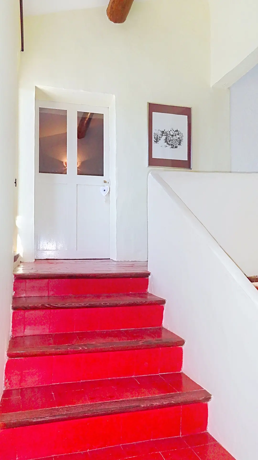 Image 31