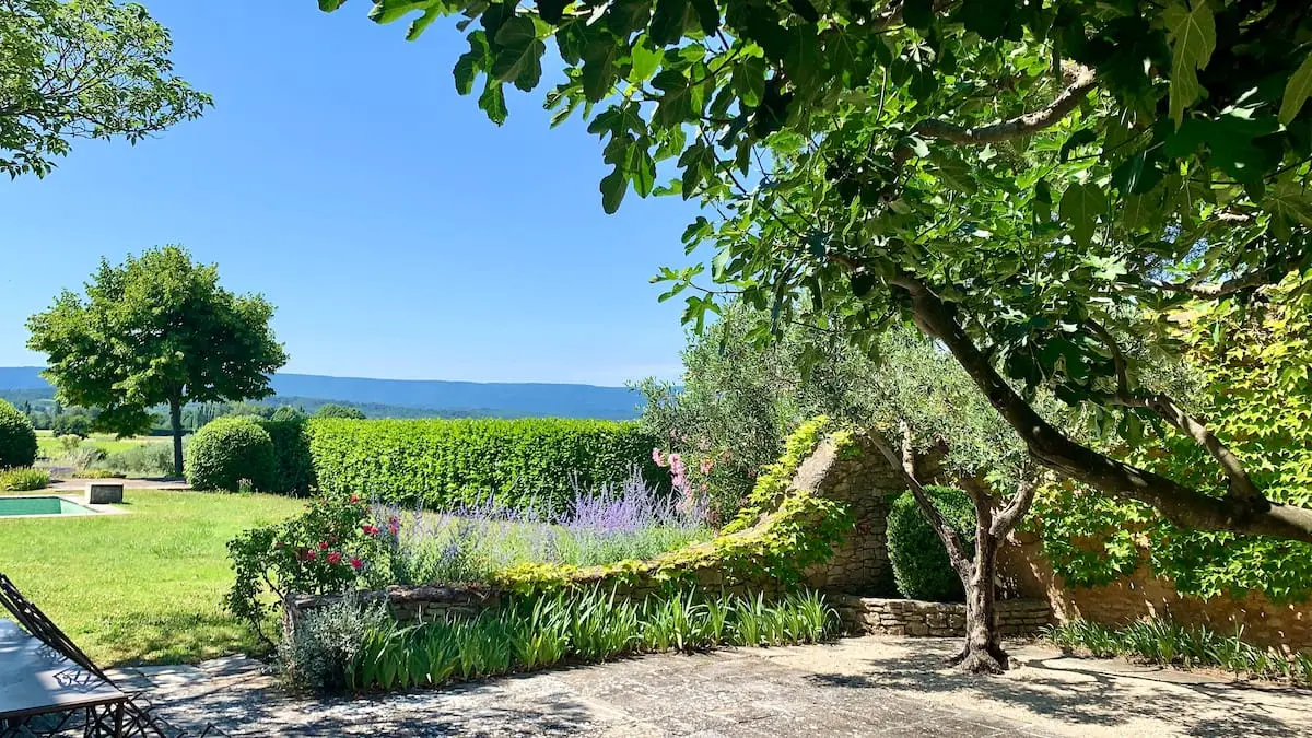Image 10