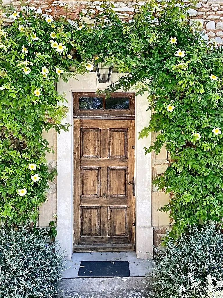Image 12