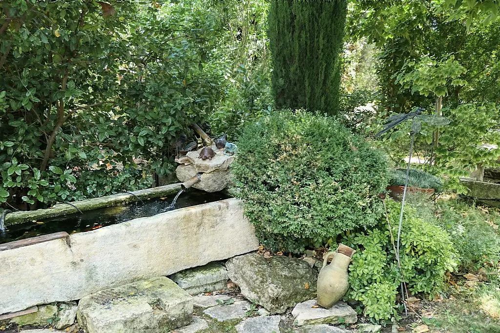 Image 10