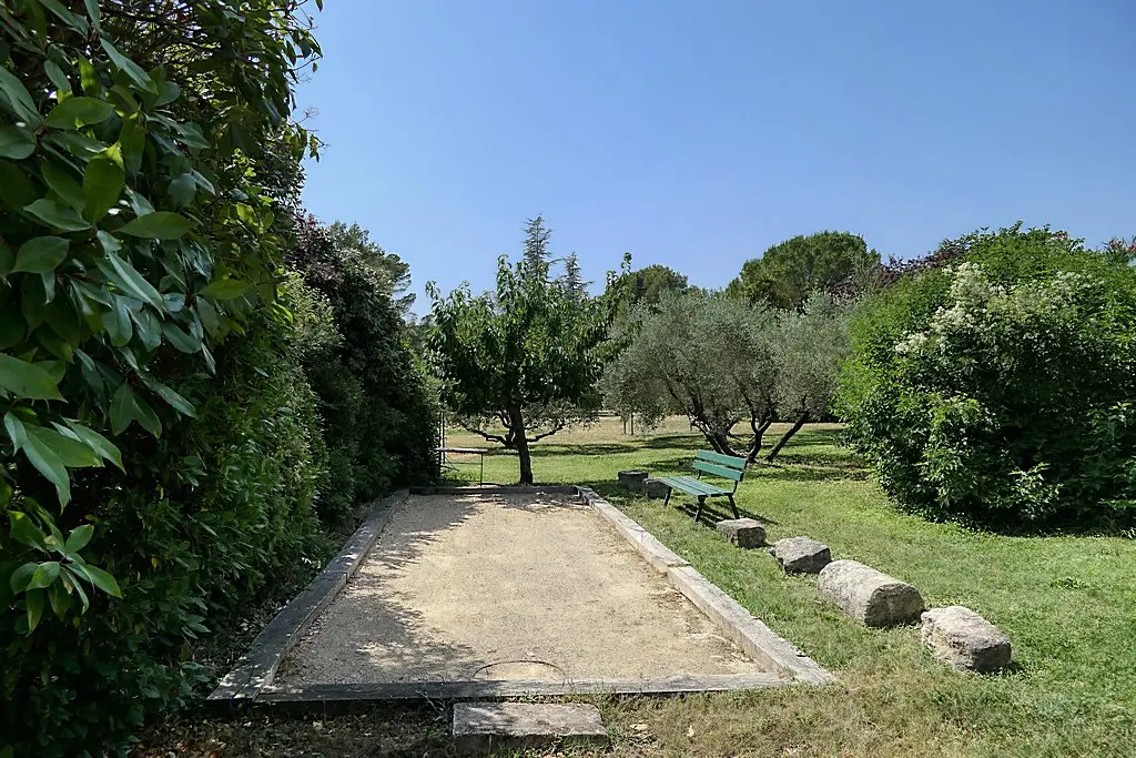Image 13