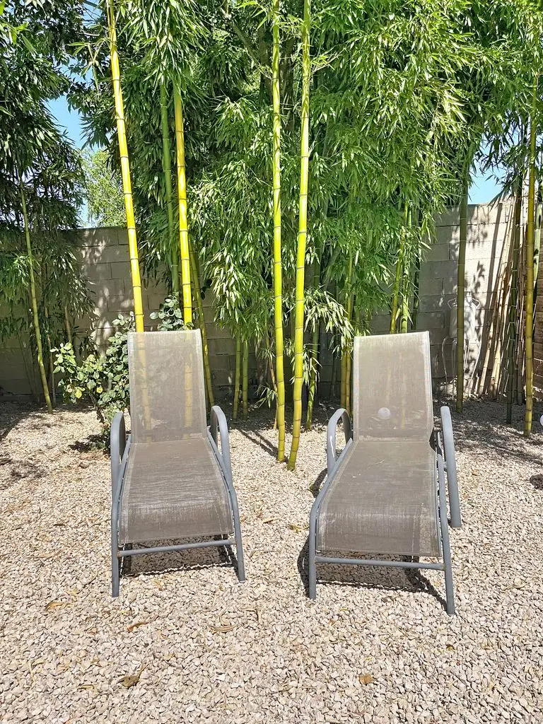 Image 15