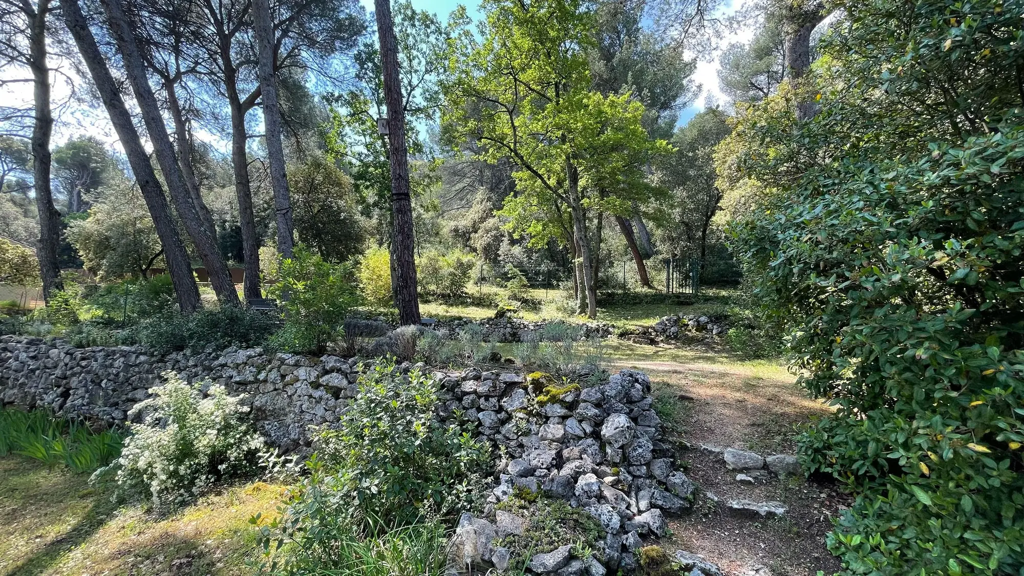 Image 11