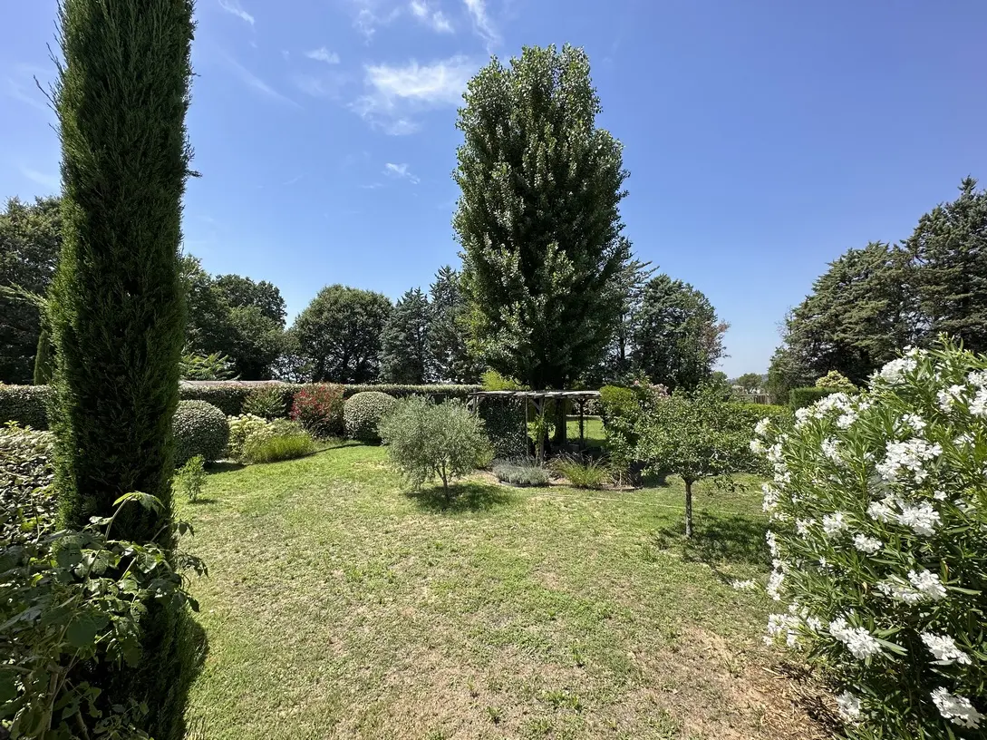 Image 29