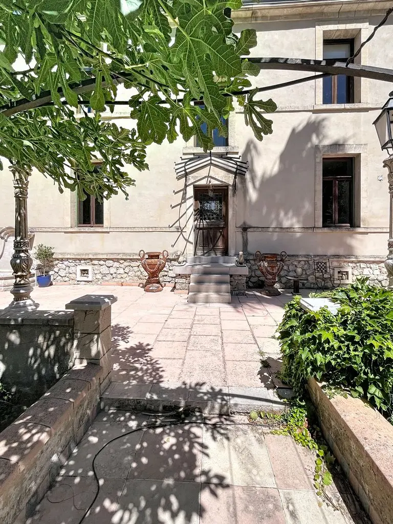 Image 7