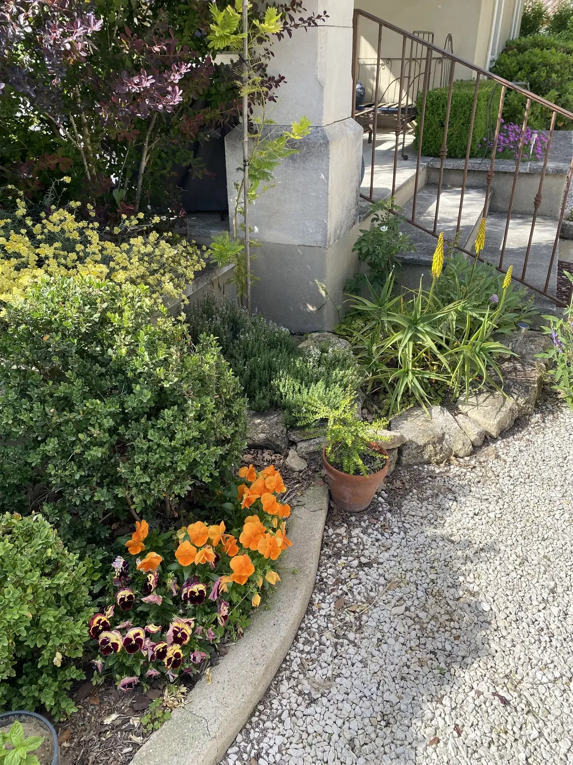 Image 63