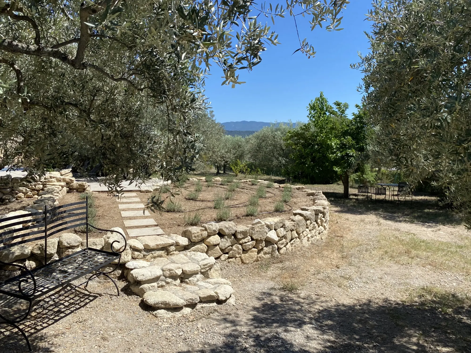 Image 13