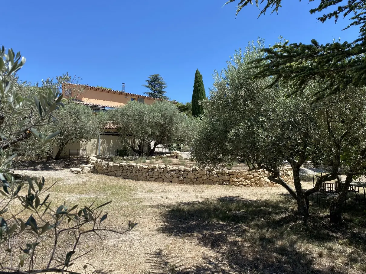 Image 15