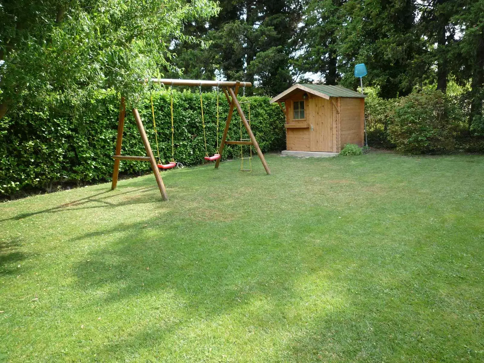 Image 6