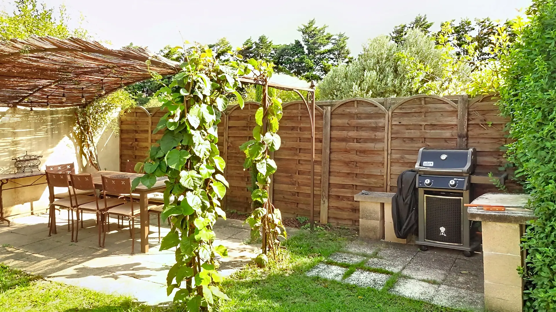 Image 20